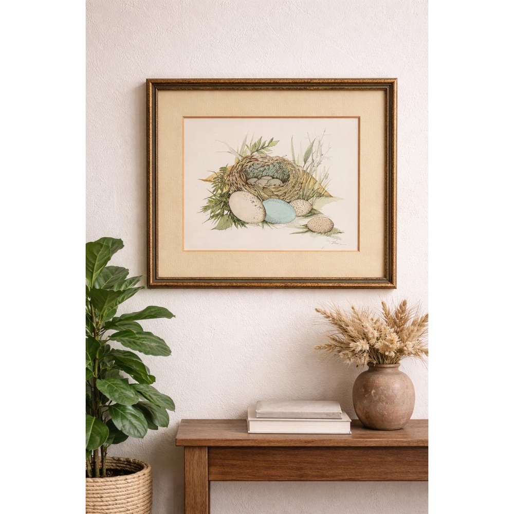 Vintage 1973 Bird Nest & Egg Nature Print . Framed Naturalist Illustration